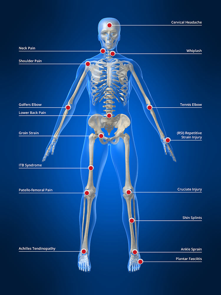 Skeleton